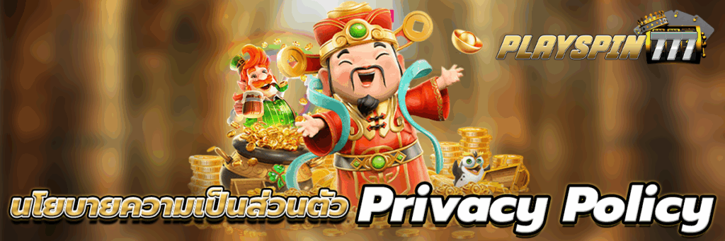 นโยบายความเป็นส่วนตัว
